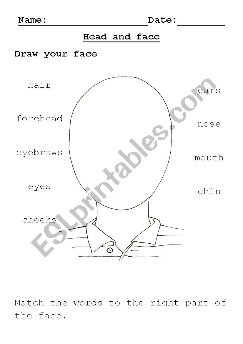 MY BODY:PARTS OF THE FACE worksheet