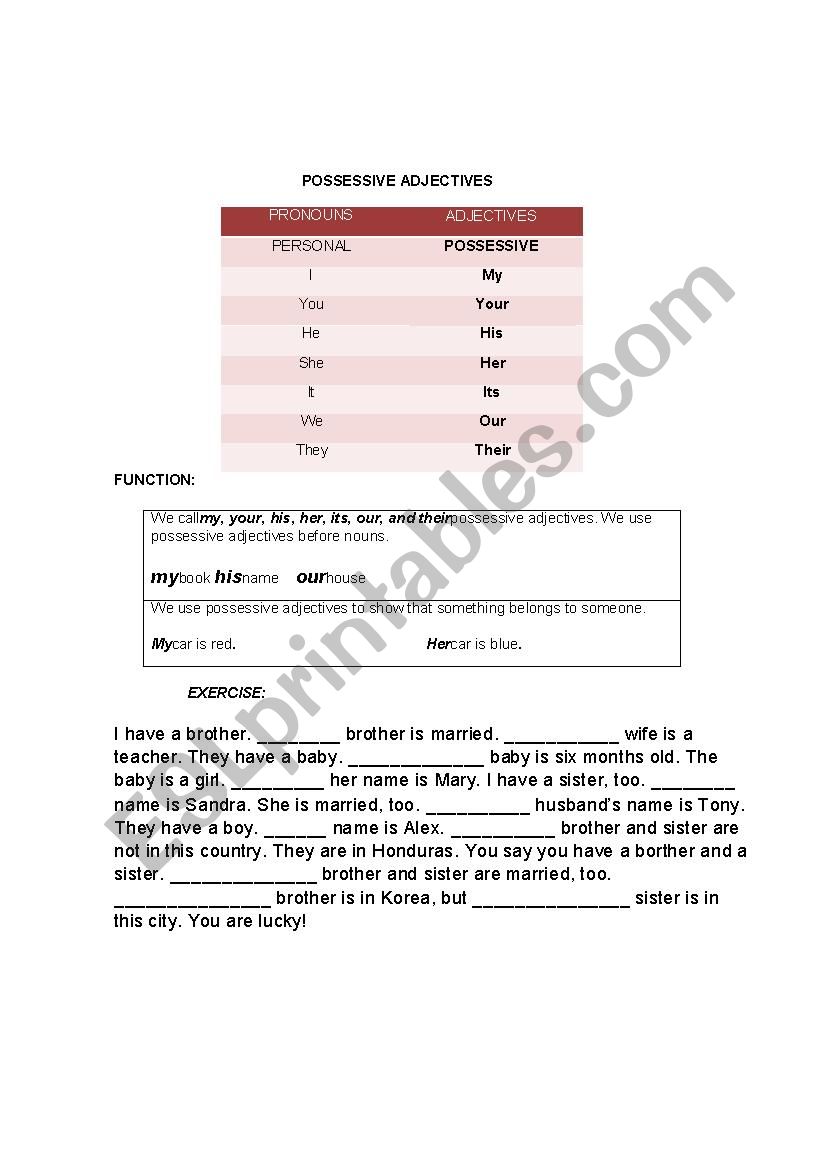 Possessive Adjectives worksheet