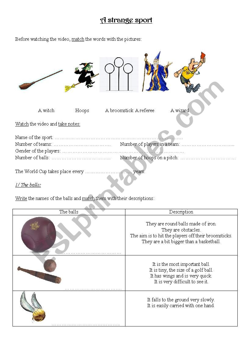 A strange sport: Quidditch worksheet