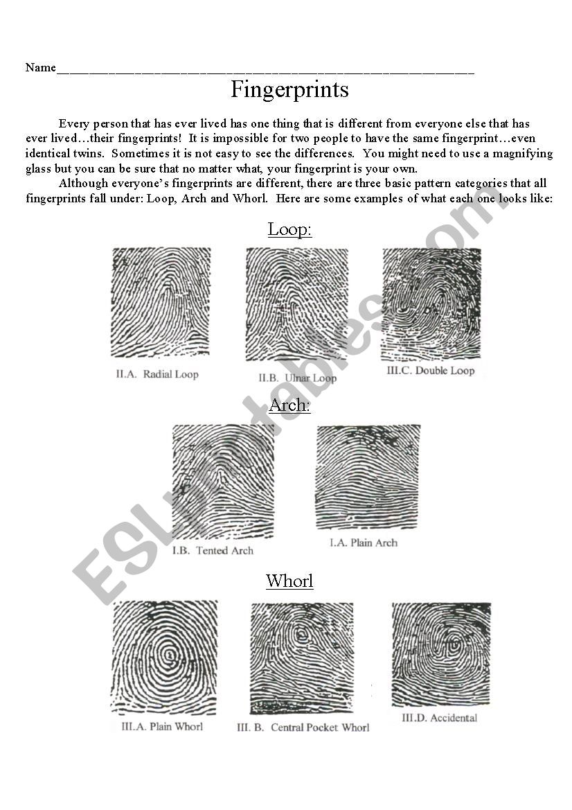 Fingerprints worksheet