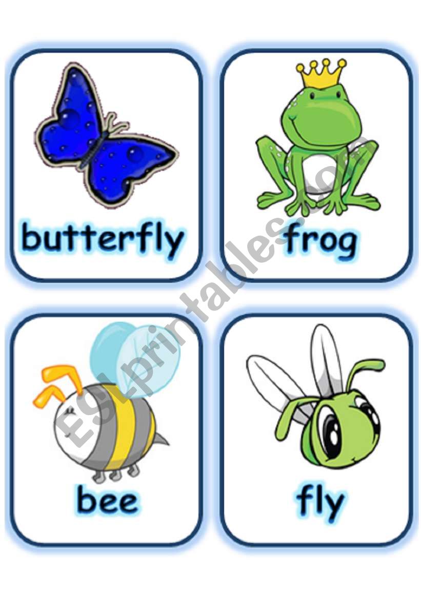  FLASHCARD SET 7- OTHER CREATURES - PART 1 OF 2 (1.08.2008)