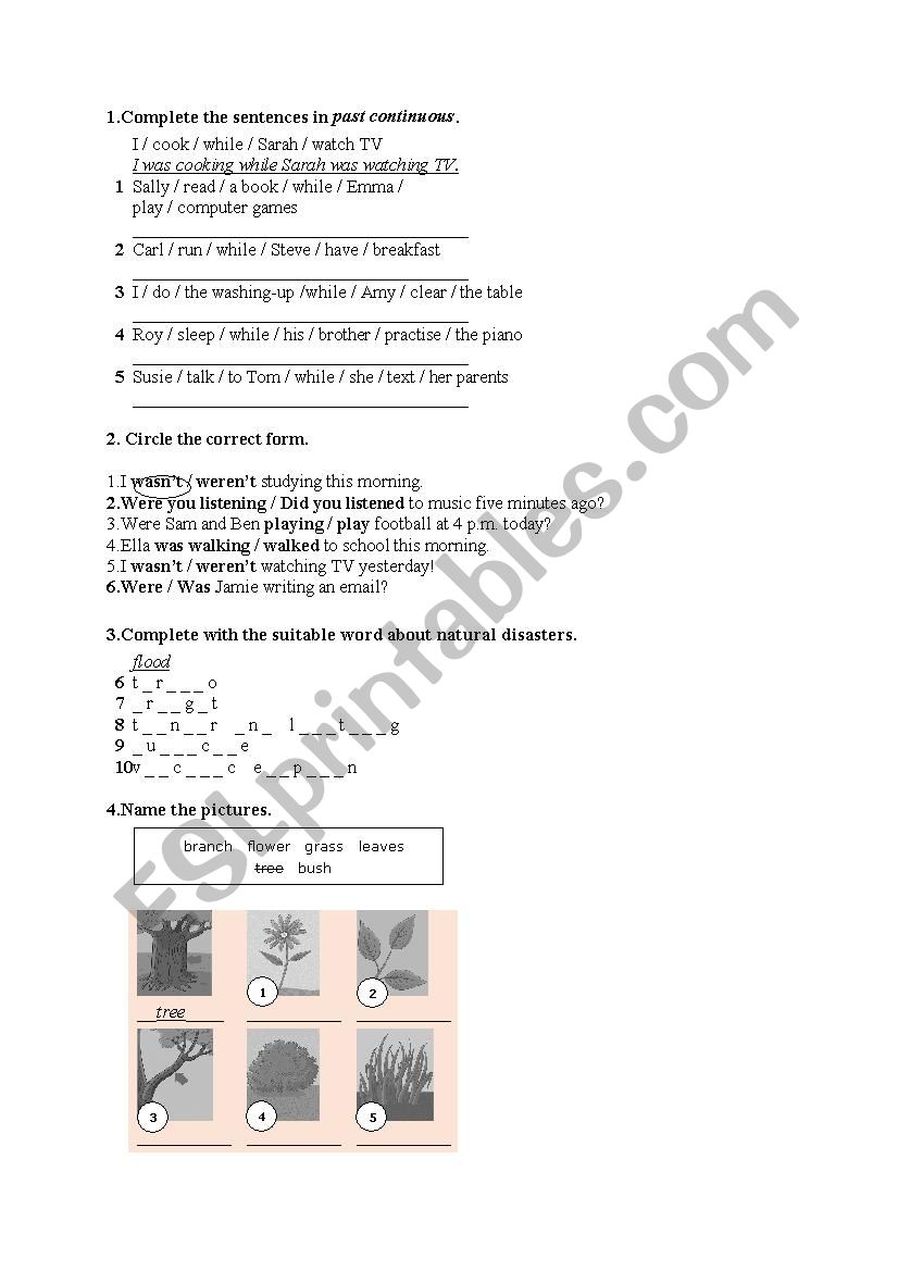 Past Continuous, Nature, Natural disasters, text about natural disasters
