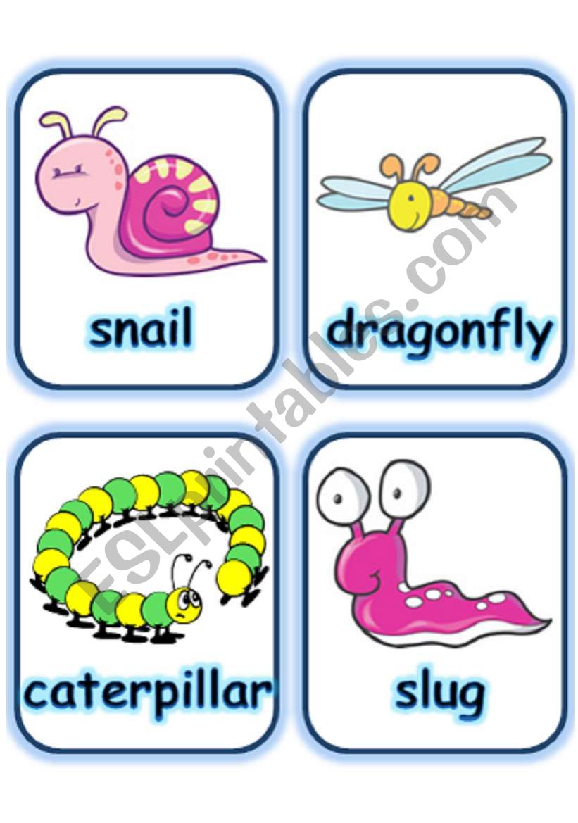  FLASHCARD SET 7- OTHER CREATURES - PART 2 OF 2 (1.08.2008)