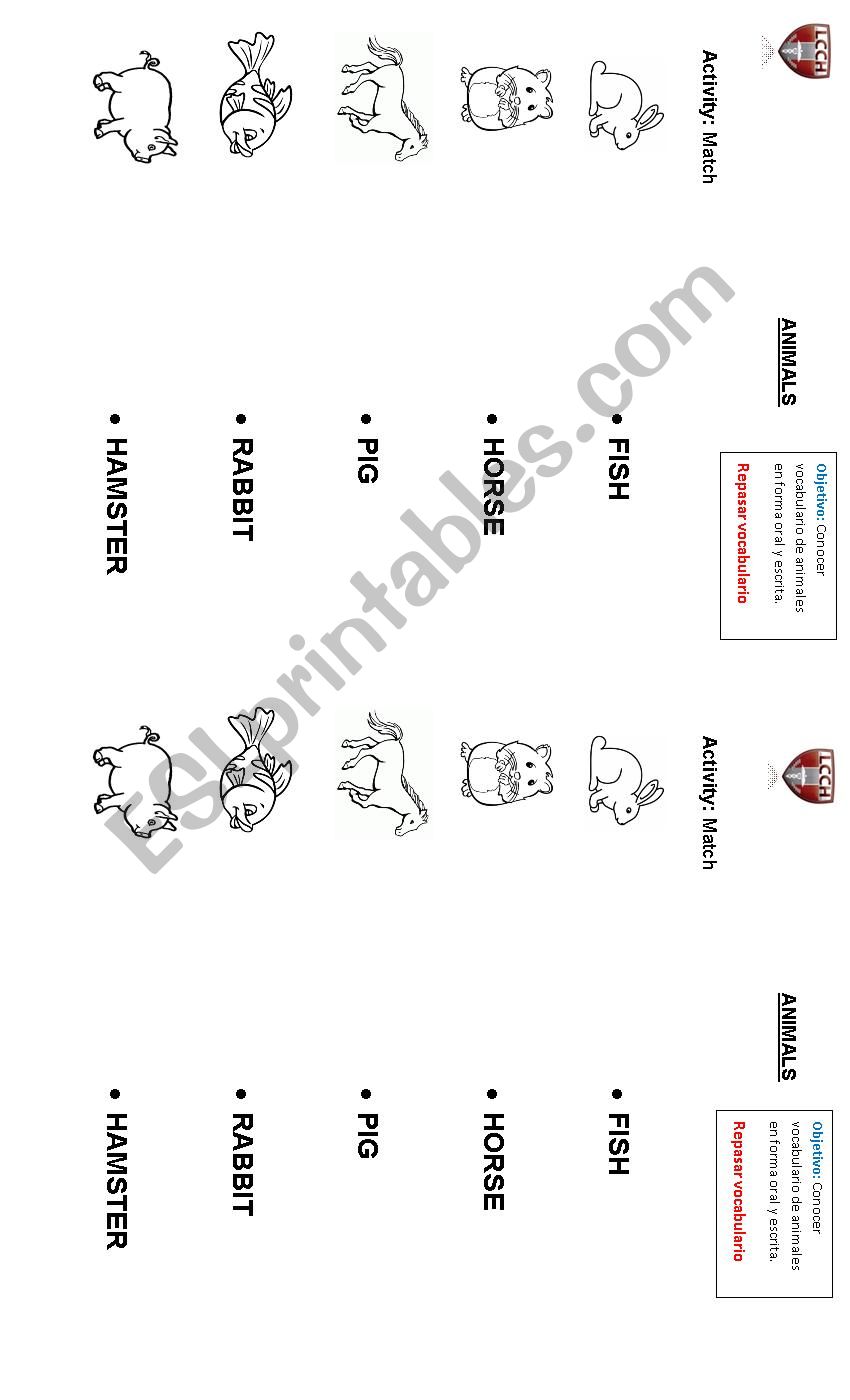 Animals worksheet
