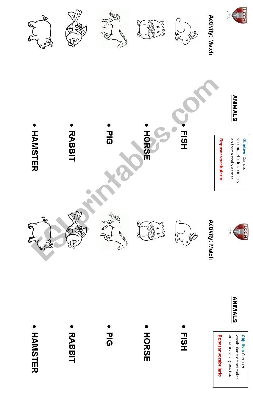 Animals worksheet