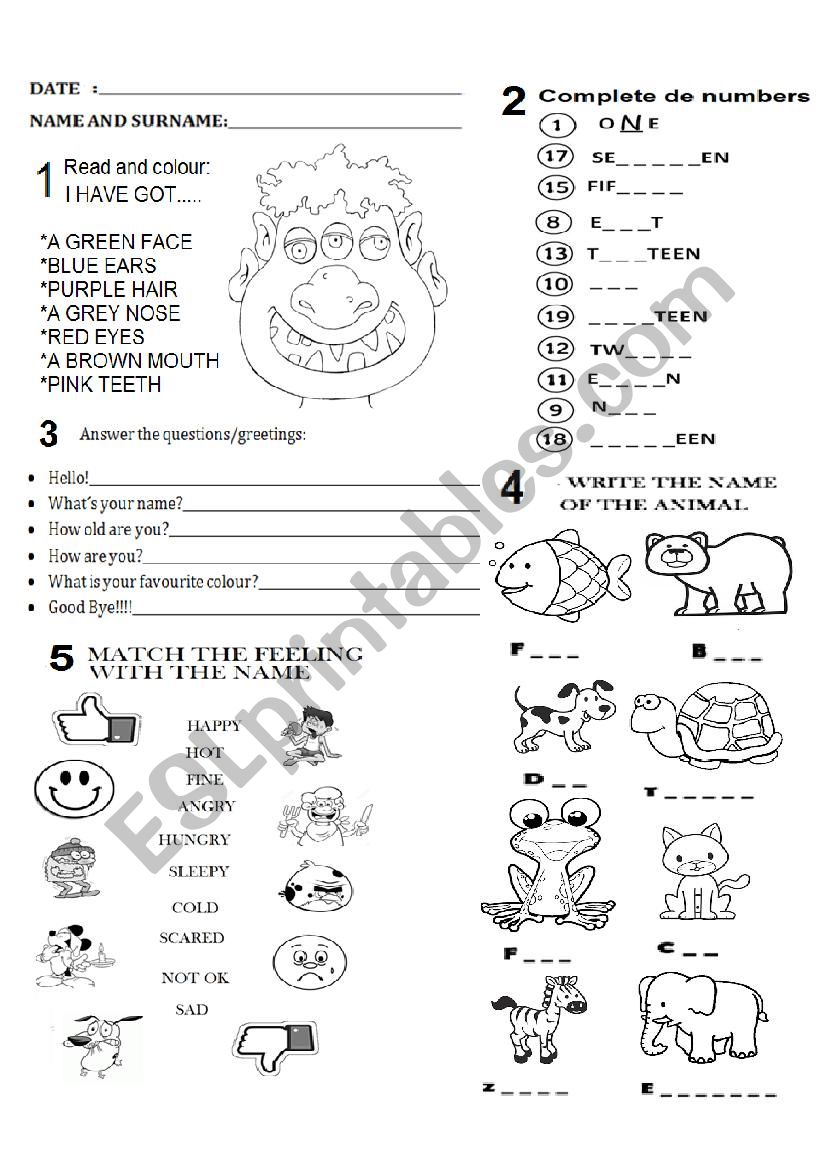 Colours-Numbers-Face-Animals-Feelings-Basic Personal information