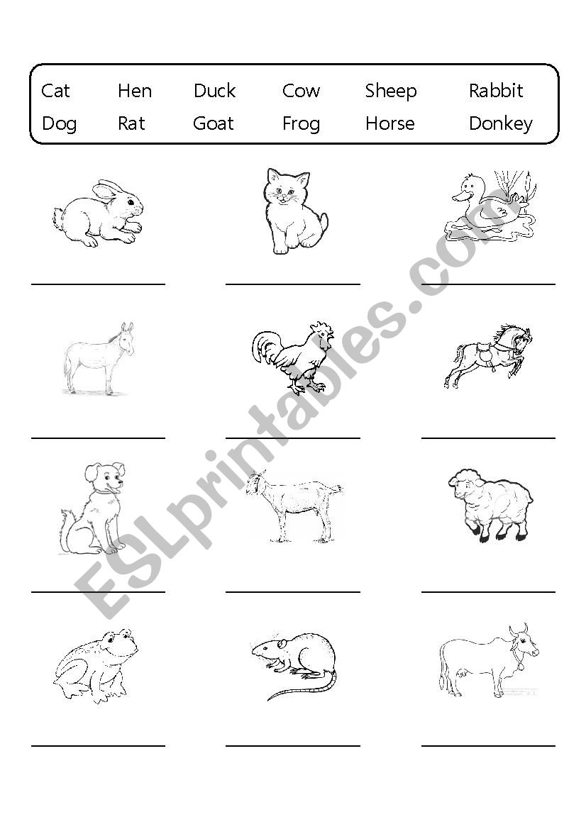 Farm animals worksheet