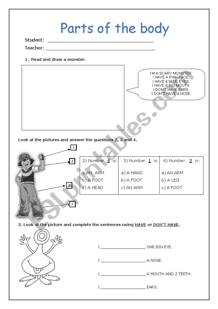 Parts of the body worksheet