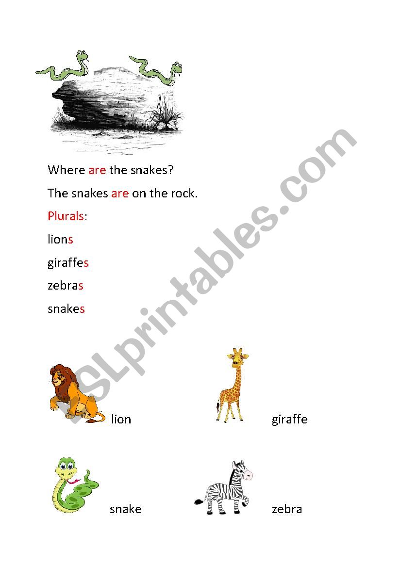 Animals Plurals worksheet