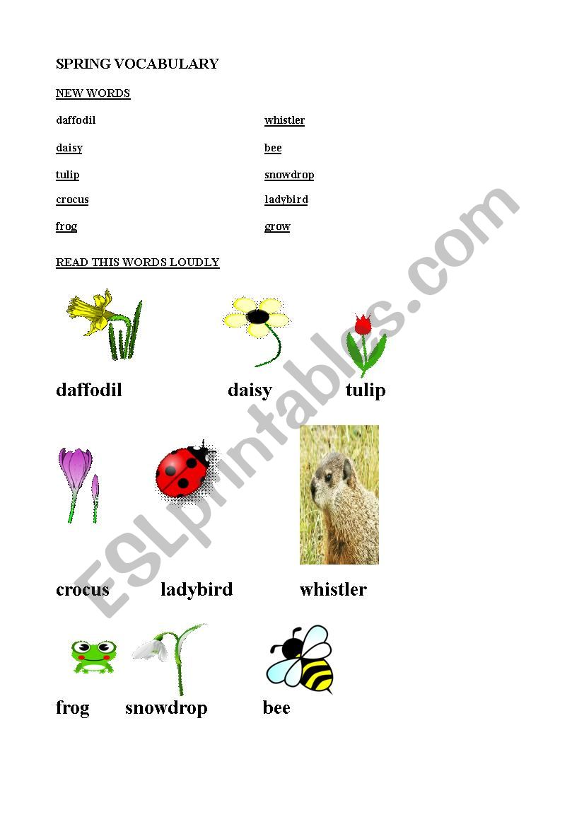 Spring basic vocabulary worksheet