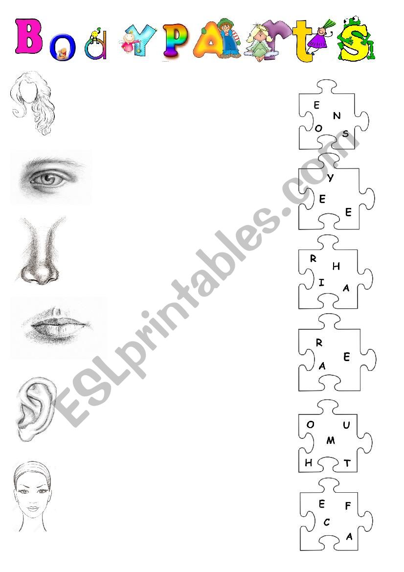 PARTS OF THE BODY worksheet