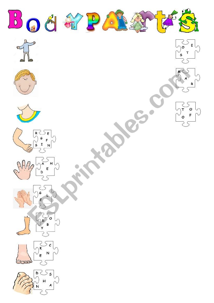 PARTS OF THE BODY worksheet