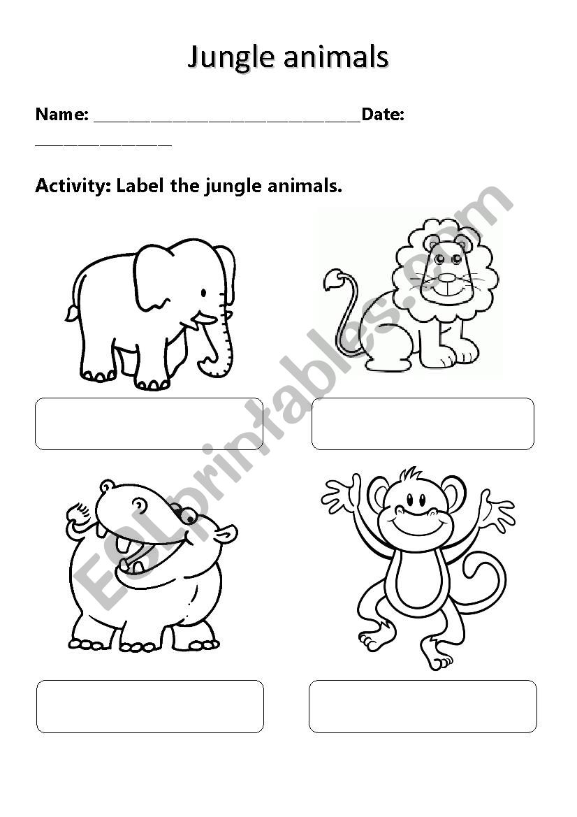 jungle animals worksheet