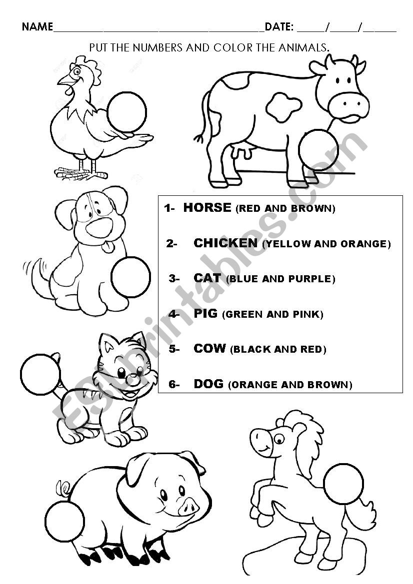 ANIMALS worksheet