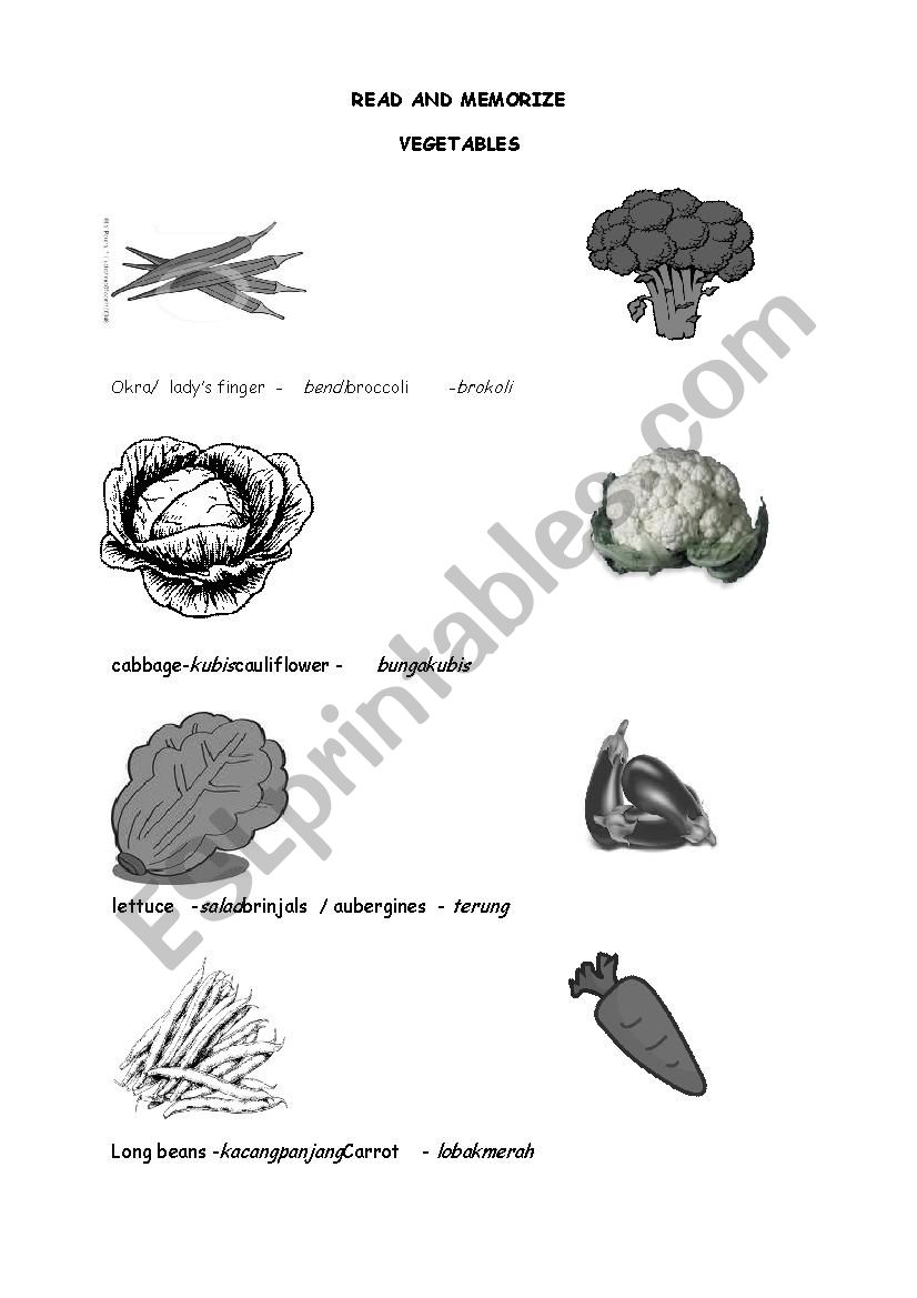 vegetables worksheet