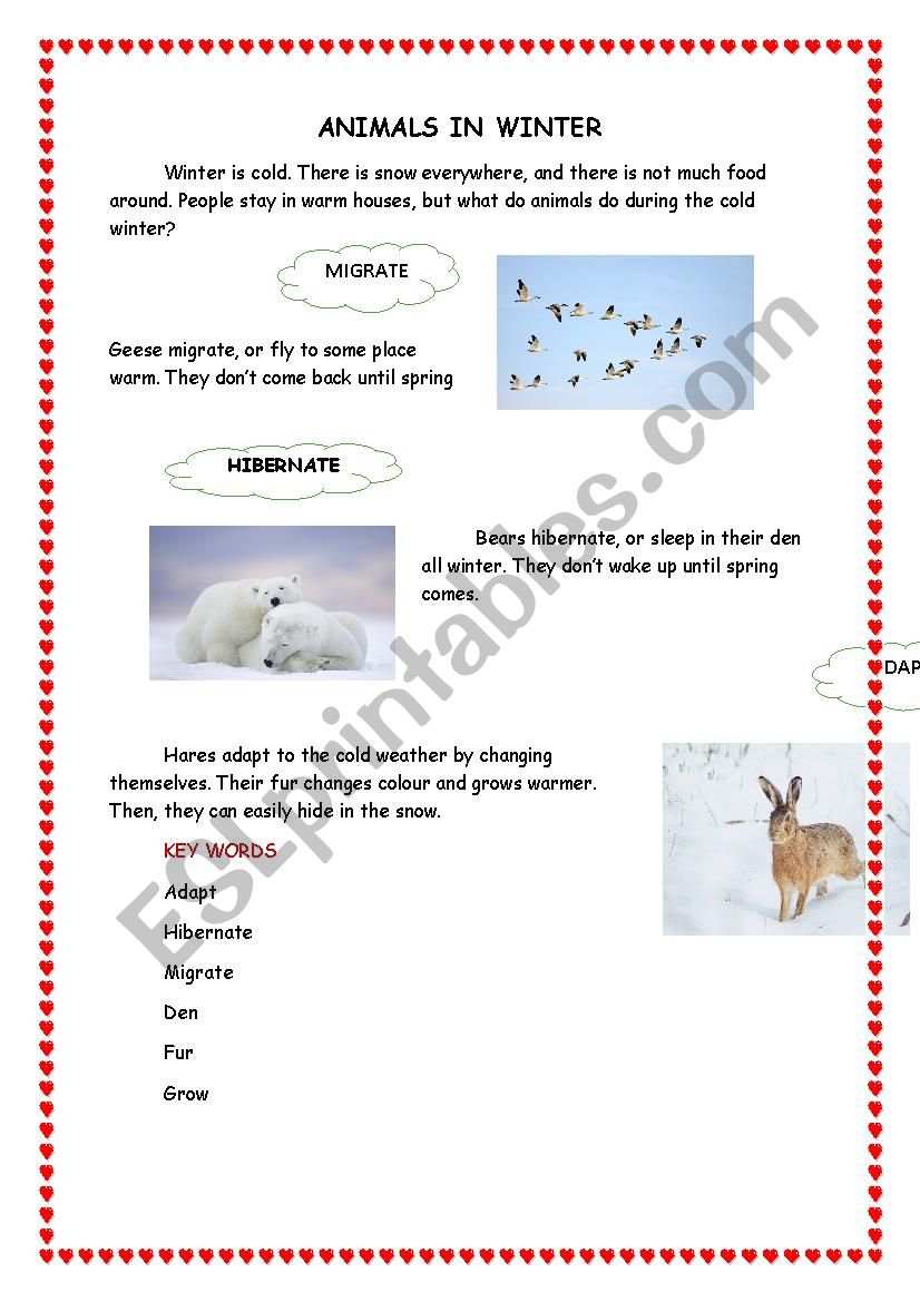 ANIMALS worksheet