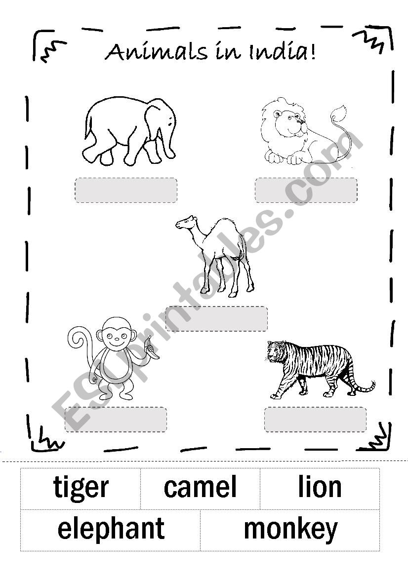 Indian animals worksheet