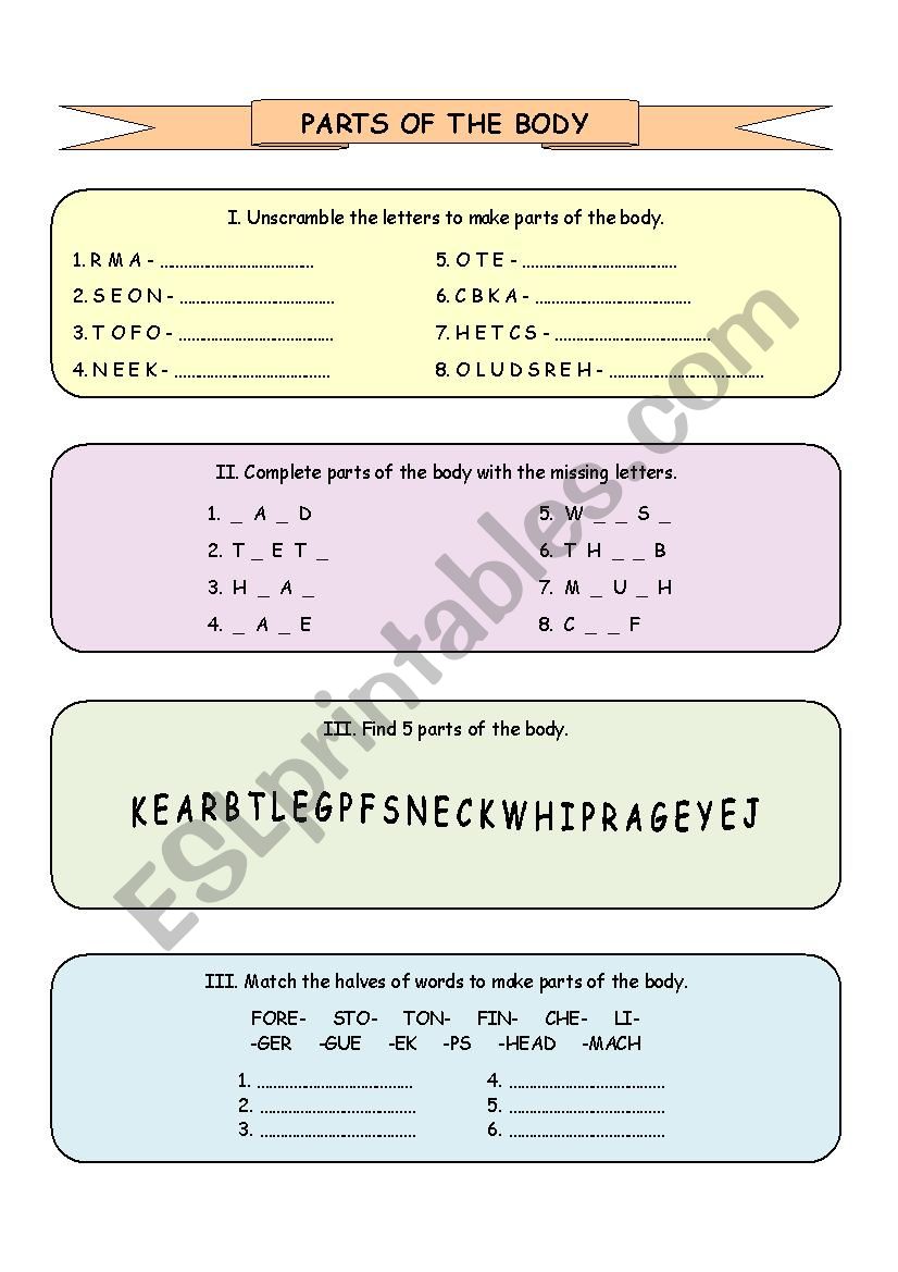 Parts of the body worksheet