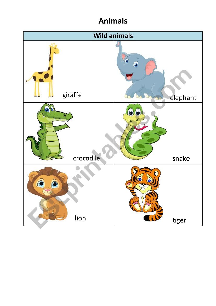 Animals worksheet