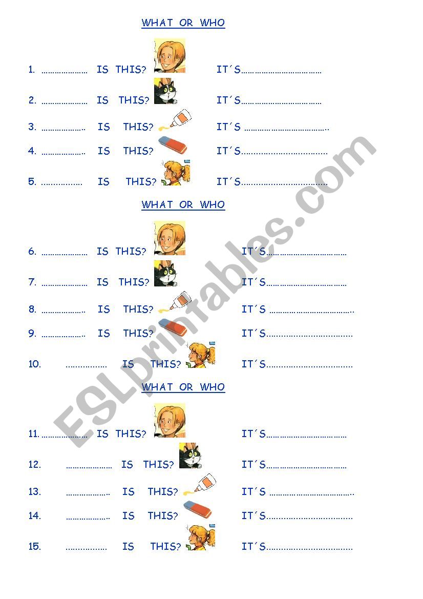who or what worksheet