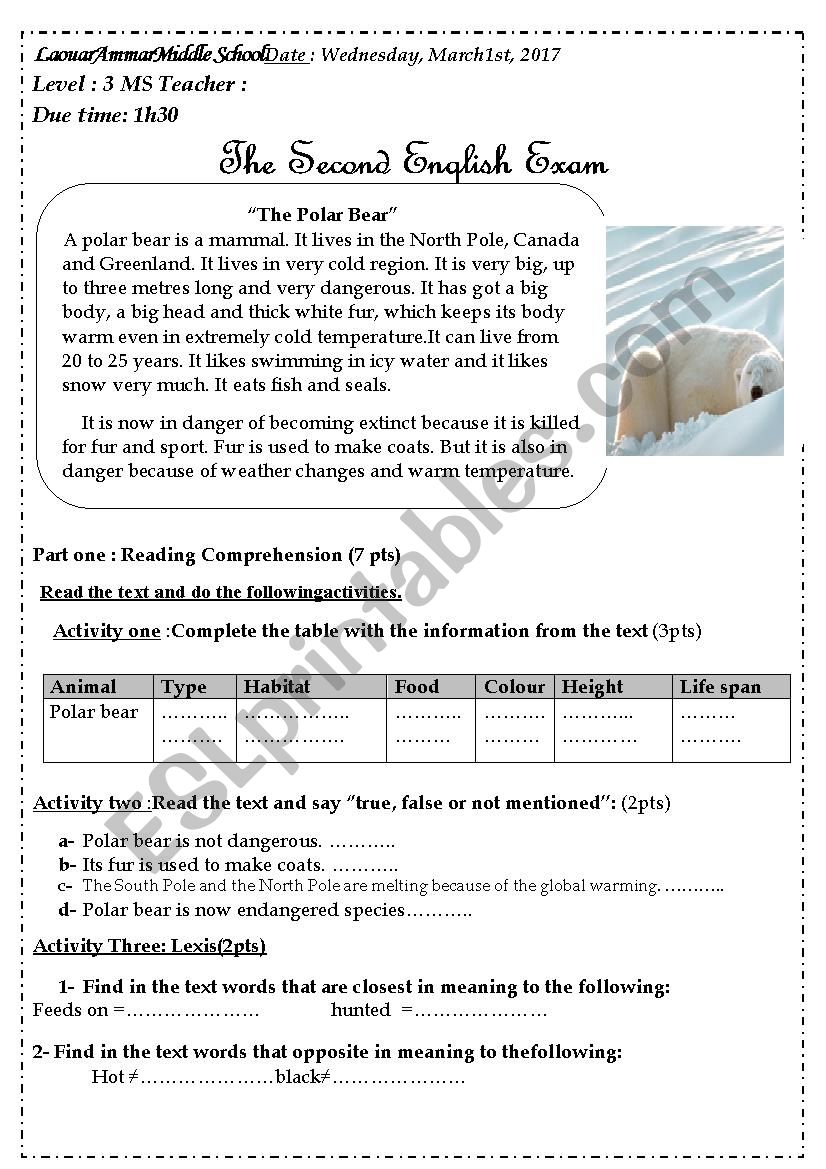 The Polar Bear worksheet