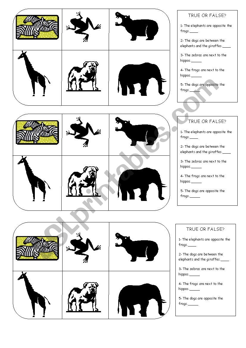 Describing animals worksheet