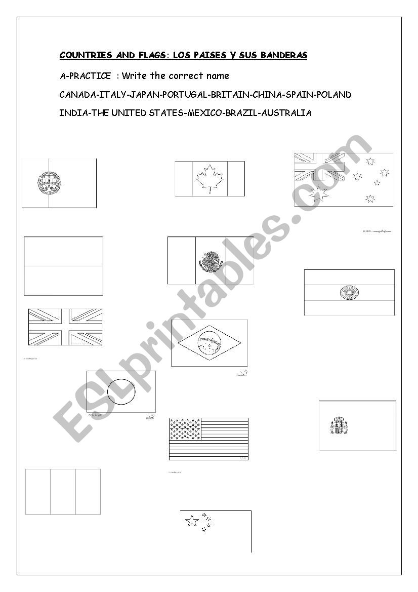 COUNTRIES AND FLAGS worksheet