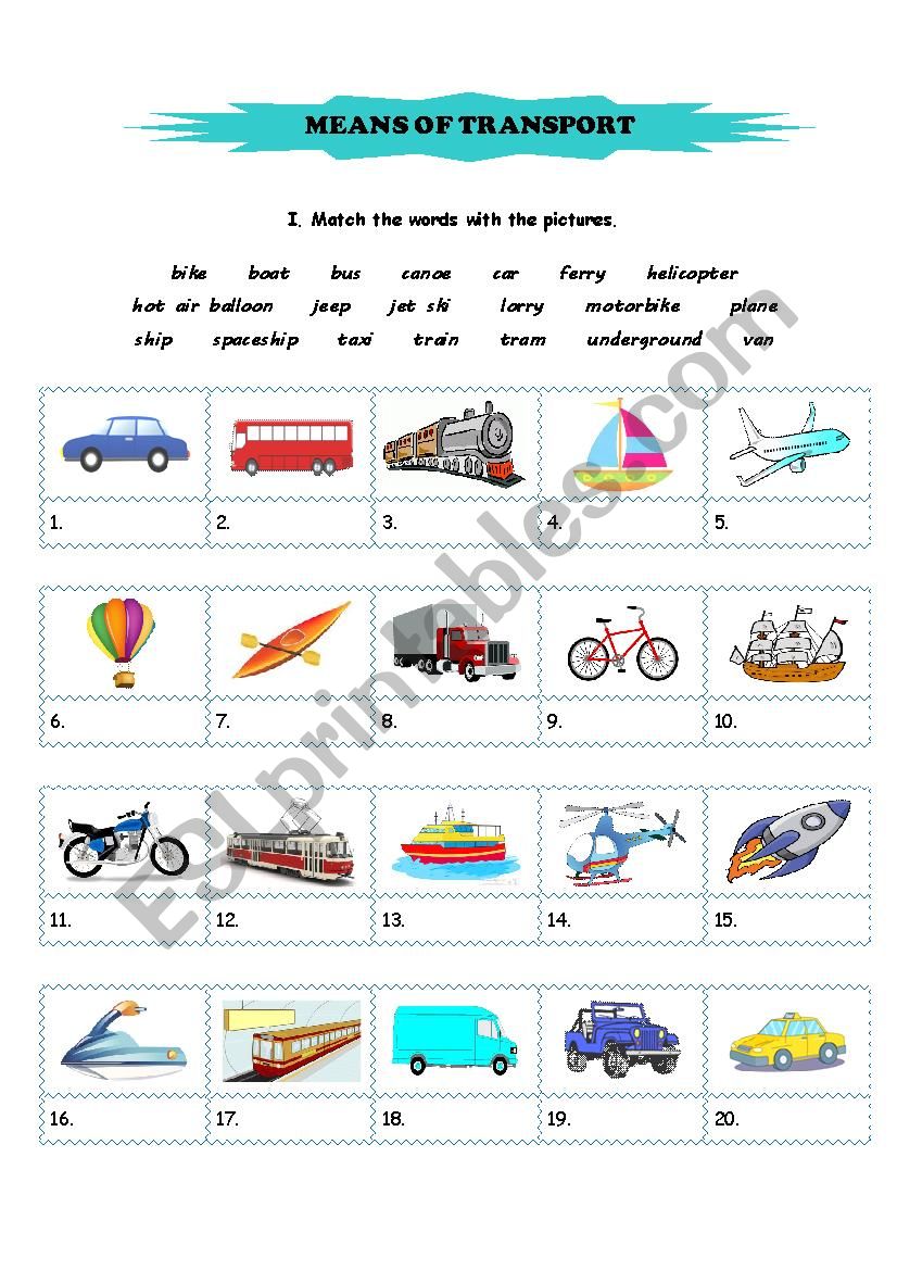 Means of transport worksheet