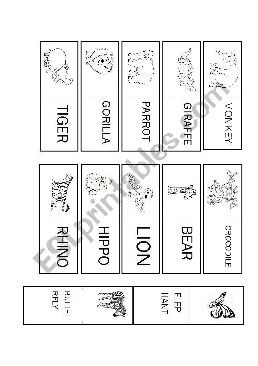 Jungle Animals worksheet