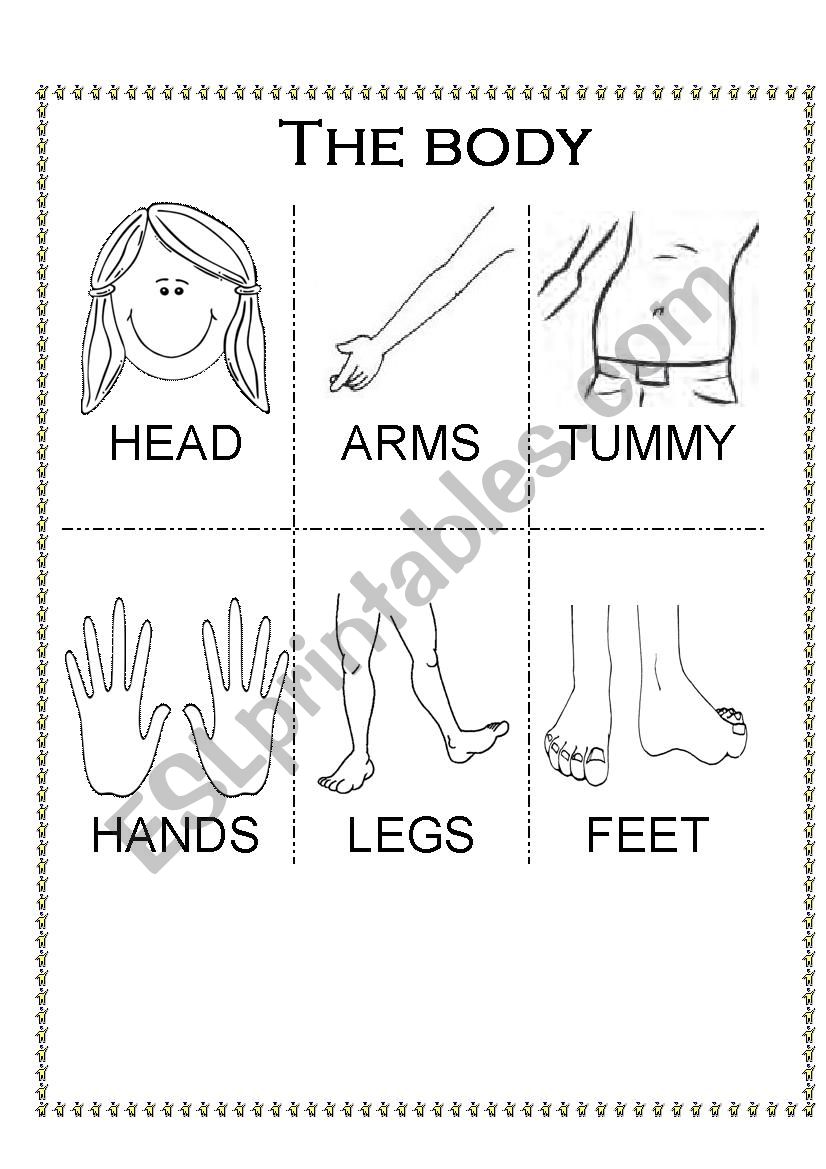 Body parts worksheet