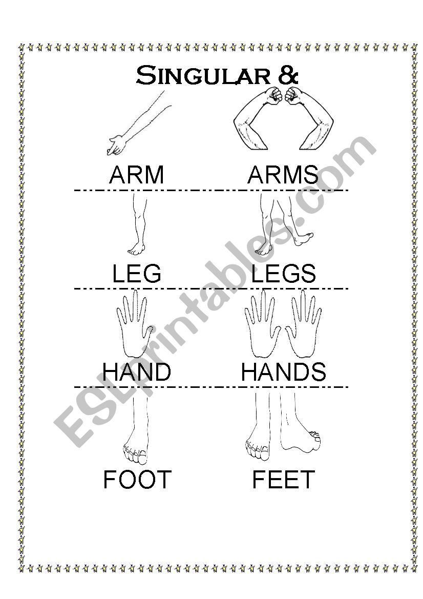 Body parts plural worksheet