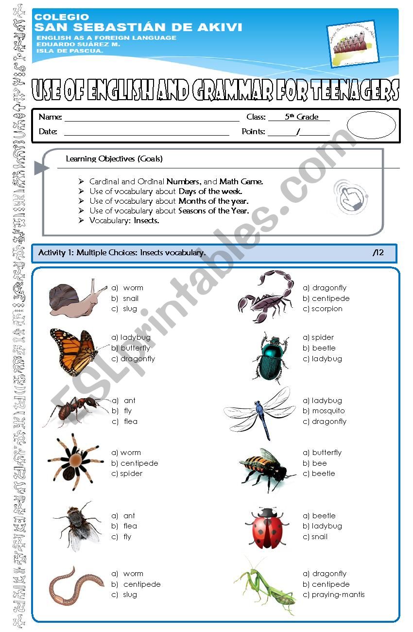 Final Test  5th grade worksheet