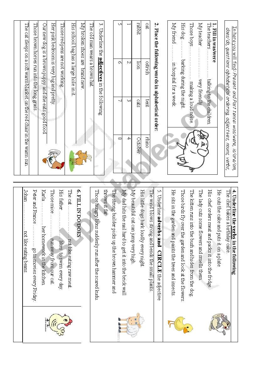 Basic language revision age 9+