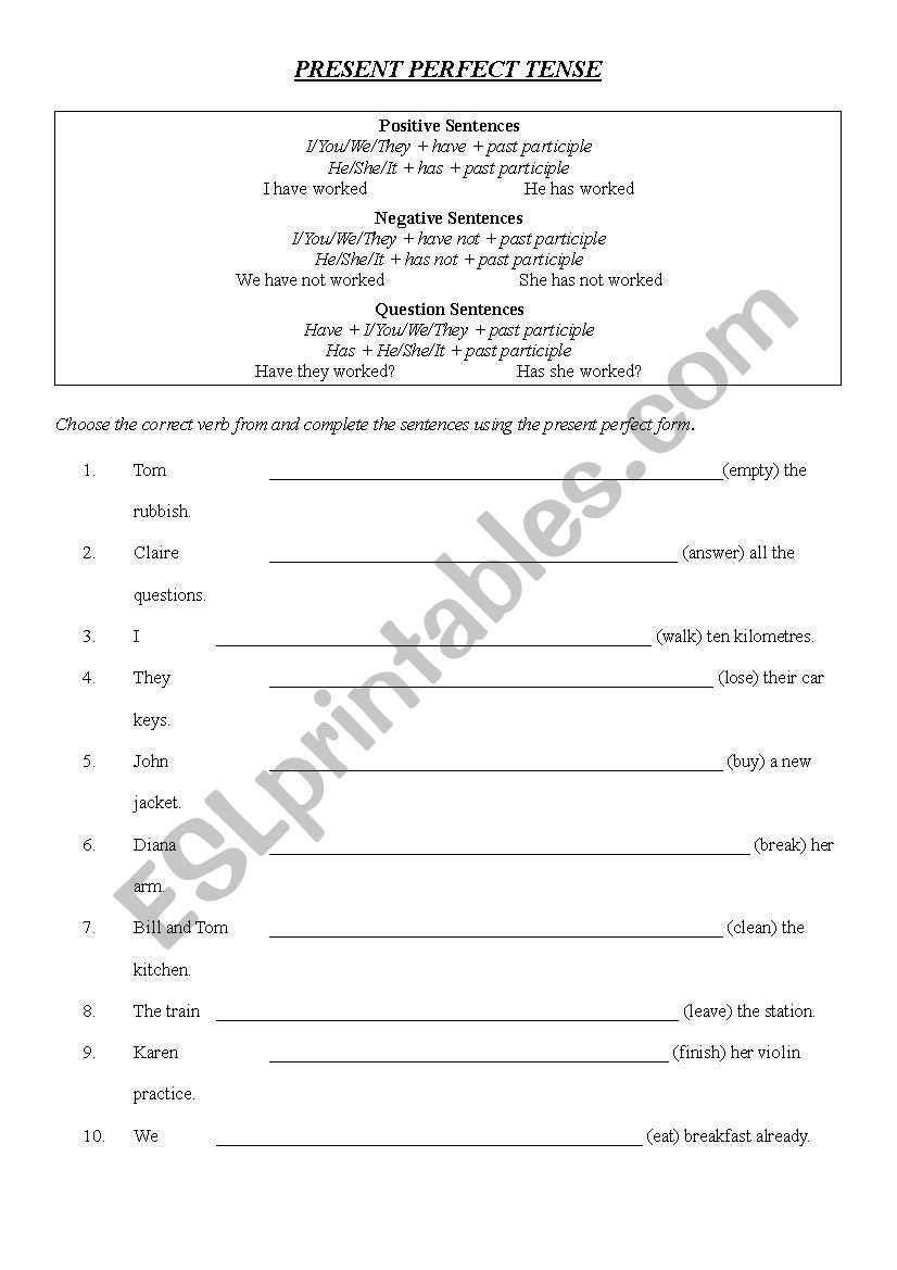 present perfect worksheet worksheet