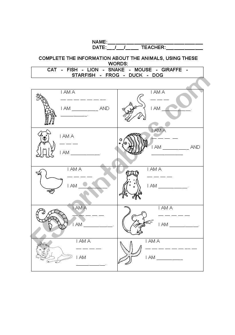 Animals and colors worksheet