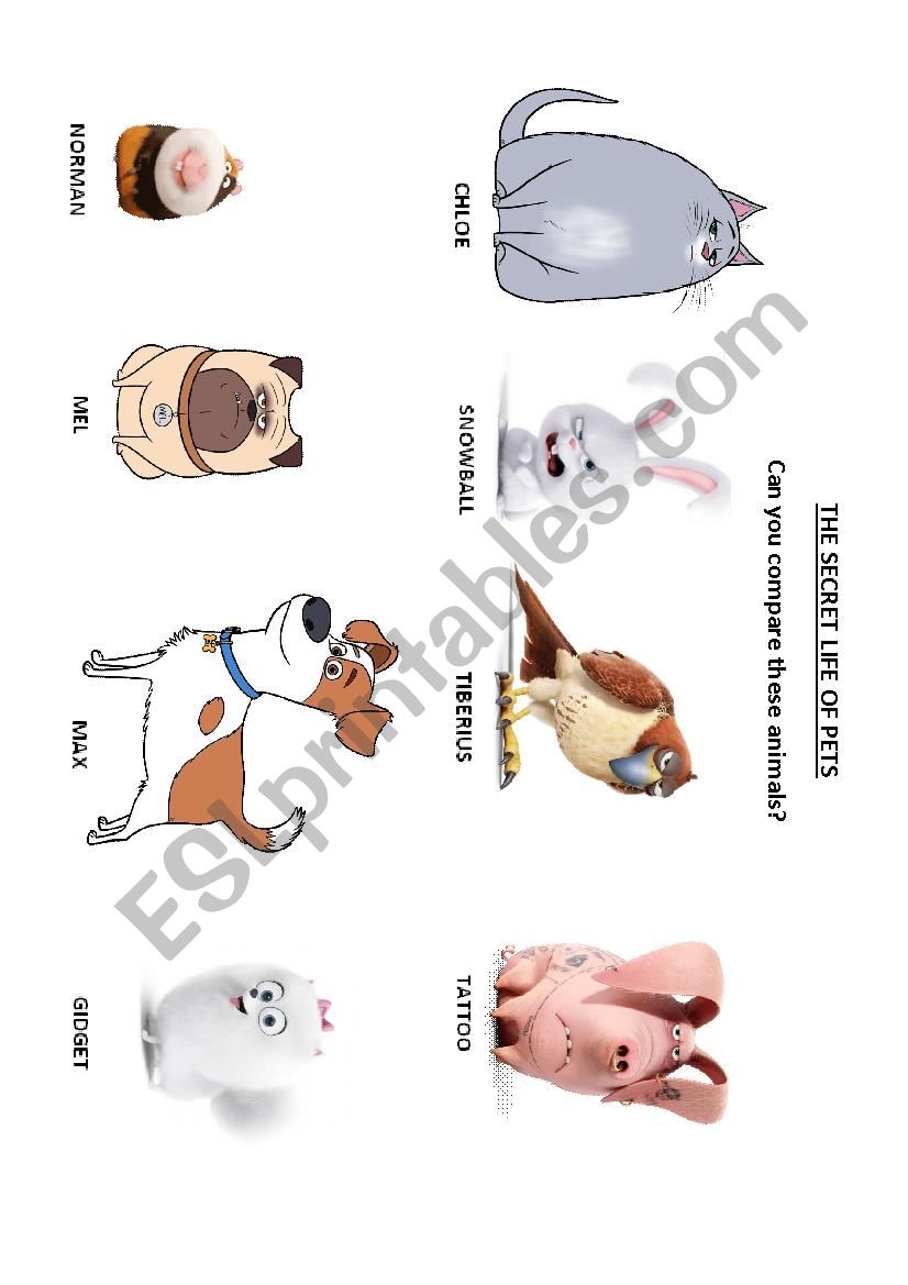 Comparatives - The Secret Life of Pets