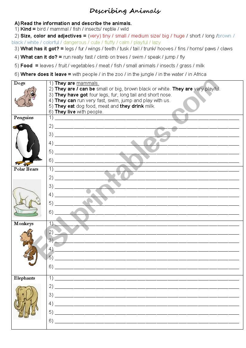 Animals - Describing animals worksheet