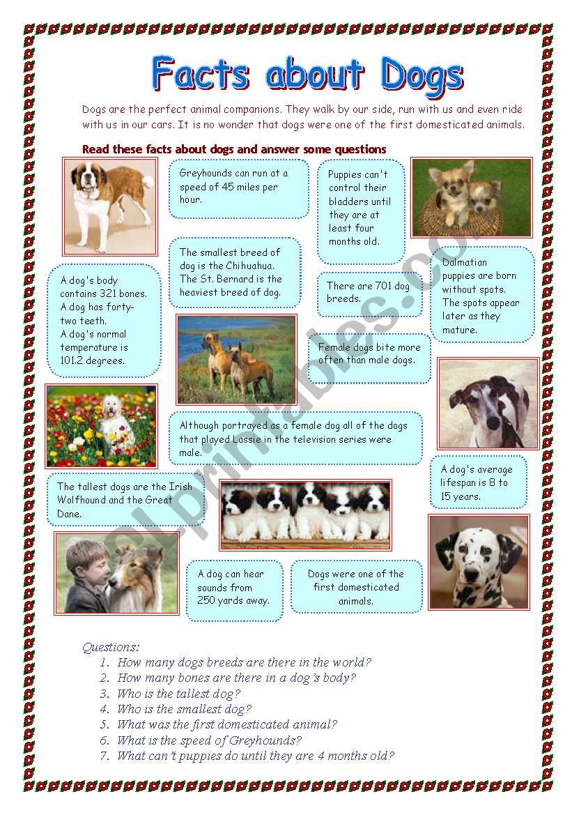 Facts about dogs worksheet