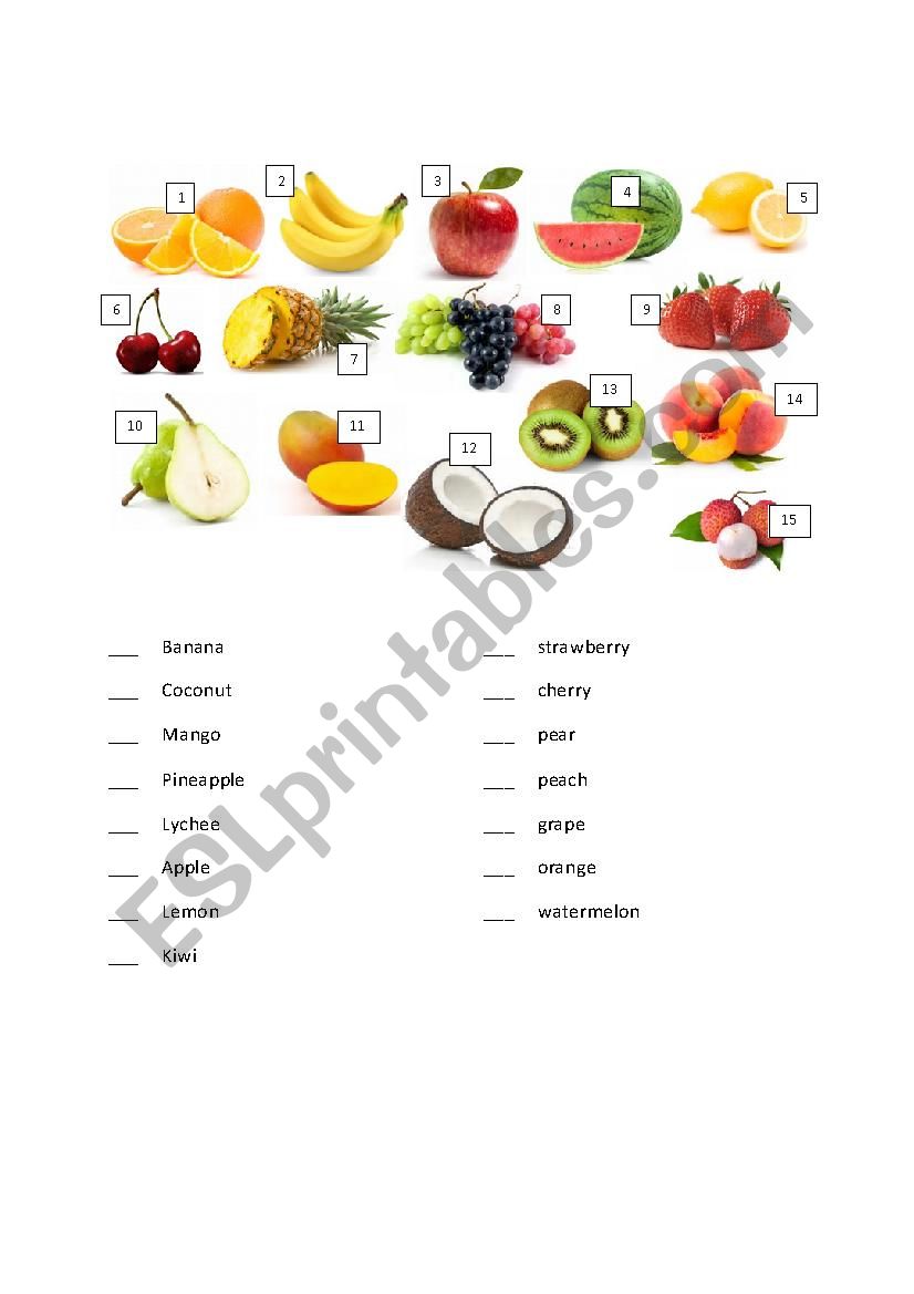 Fruit worksheet