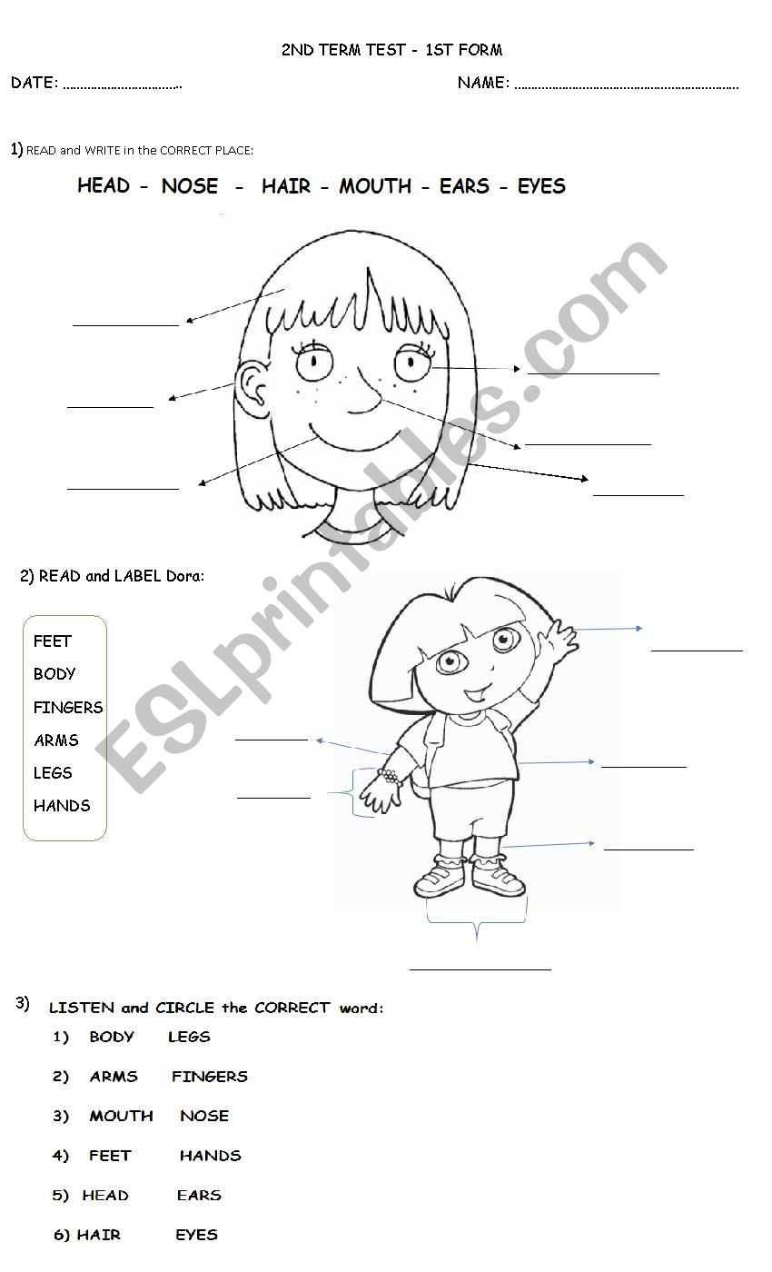 Body and Face worksheet