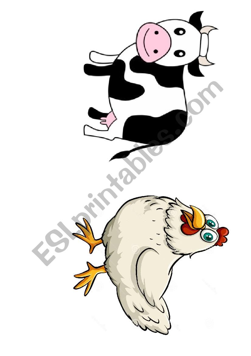 Animals flashrads worksheet