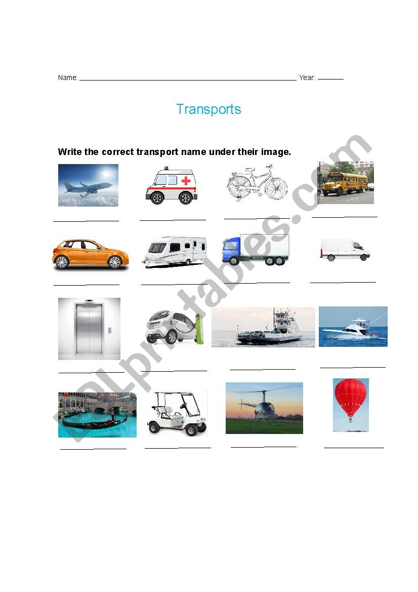 Transports worksheet