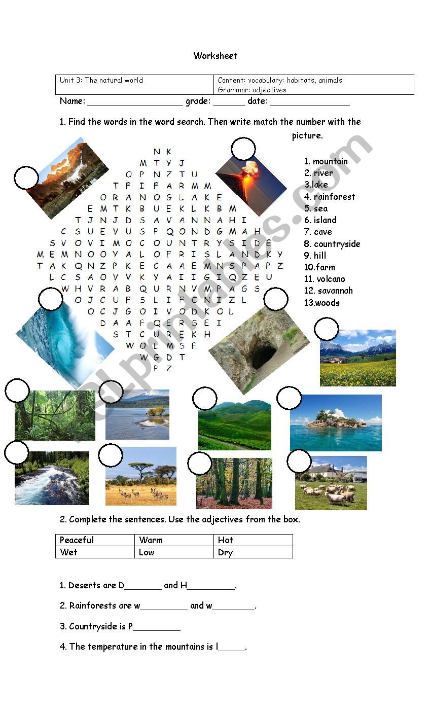 Habitats worksheet