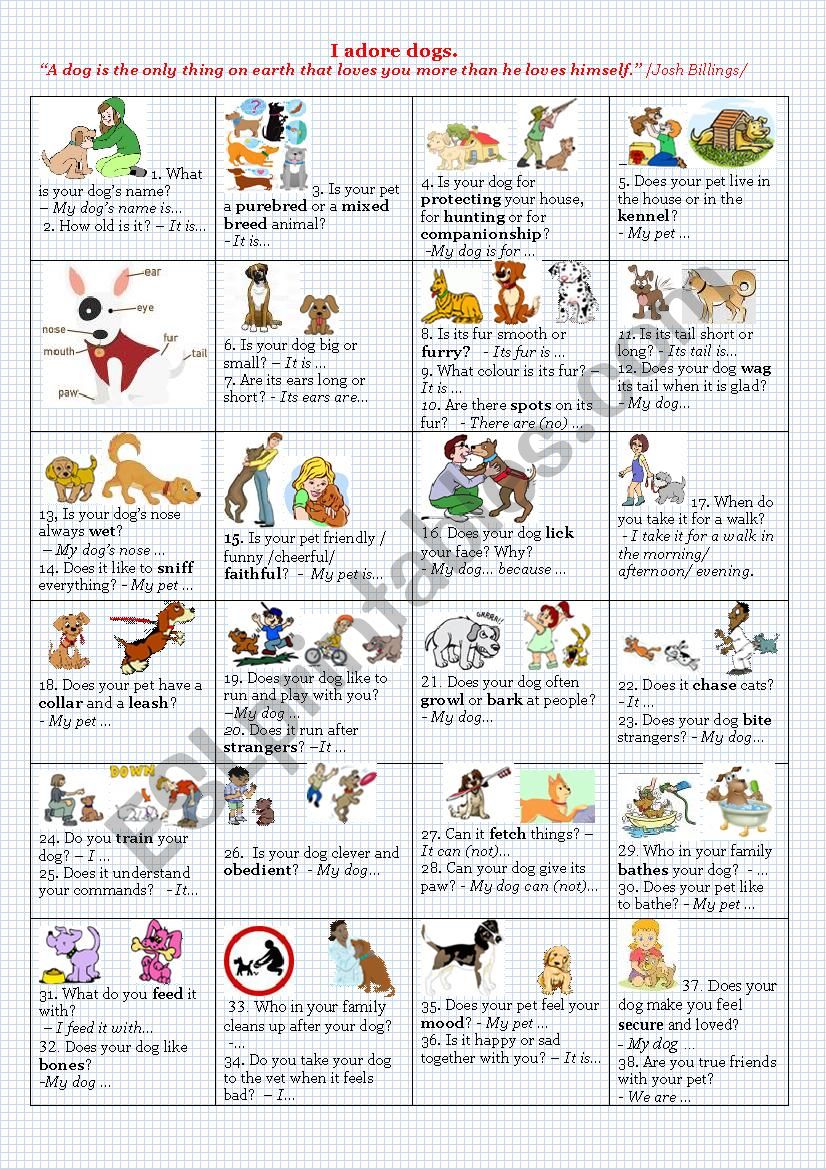 I adore dogs.  worksheet