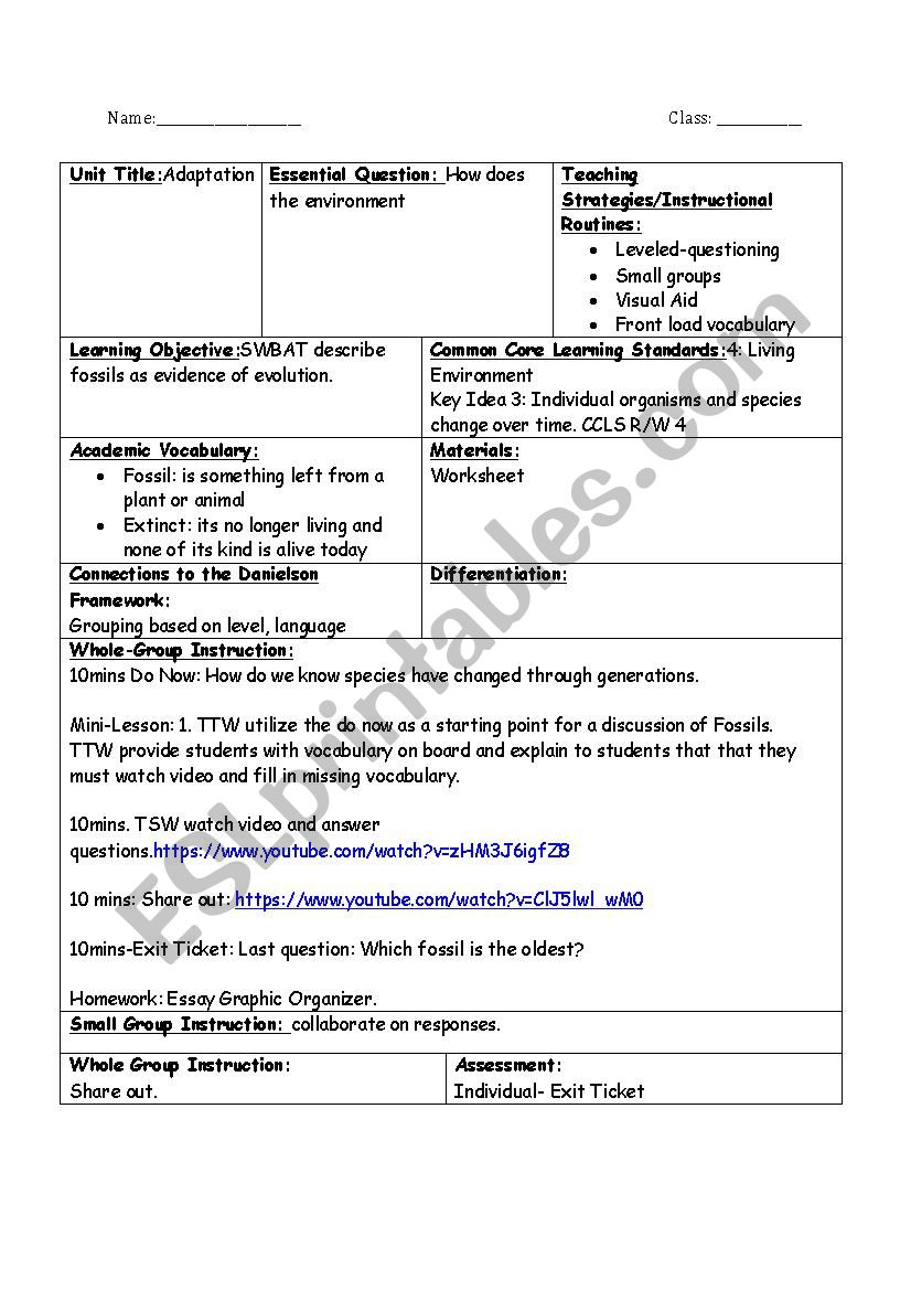 Fossils worksheet