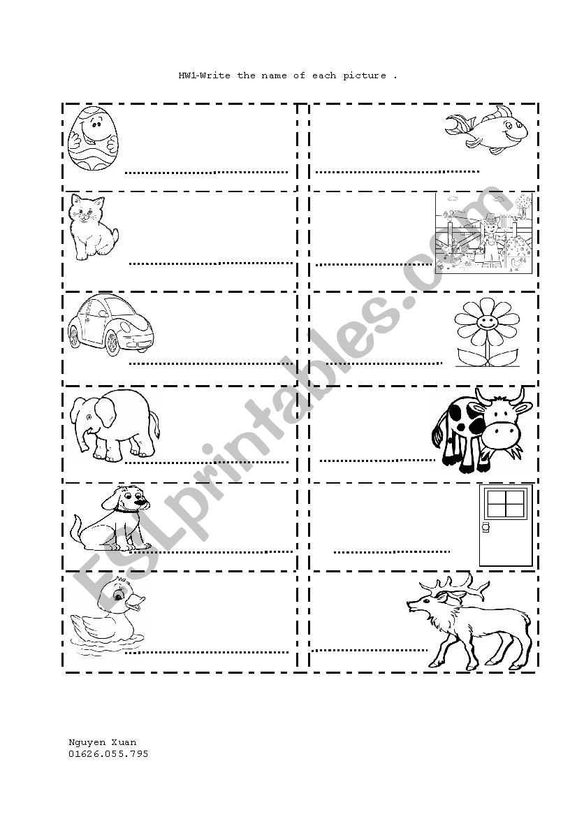 letters & sounds CDEF worksheet