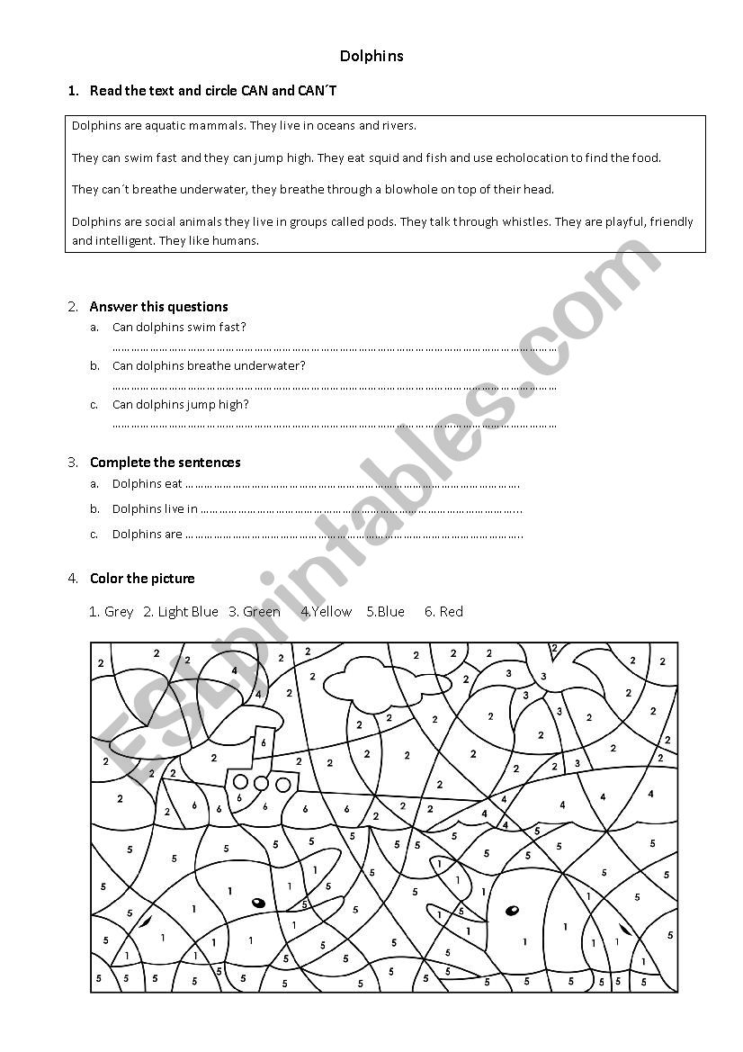 What can a dolphin do? worksheet