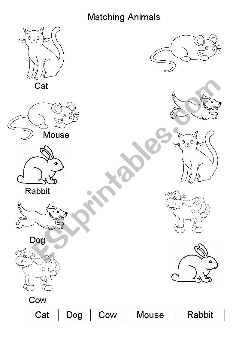 Matching animals - word to picture