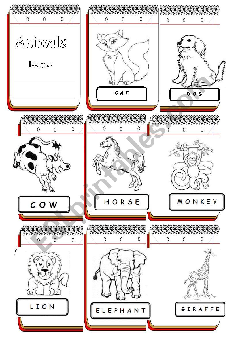 Animals Pictionary Book worksheet