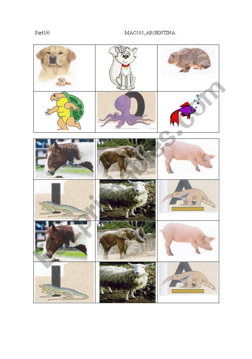 Animal Bingo -18 different cards!!! 01/08/08 card 1/6